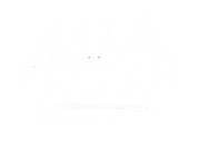 Dark Entries | CUT Radio 95.2